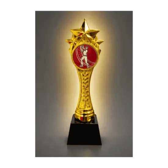Custom gold star trophy with engraving. Ideal for school awards, sports competitions, and corporate recognition across Canada.