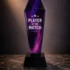 Crystal Appreciation Trophy