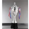 Silver Plated Metal Championship Trophy(63cm)