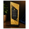Premium Resin Trophy - Unique Custom Award