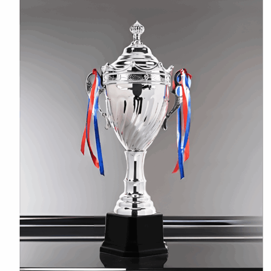Silver Plated Metal Championship Trophy(63cm)