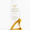 Premium Crystal Star Blade Trophy – Modern Recognition Award