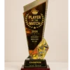 Premium amber crystal apex trophy custom engraved award Canada