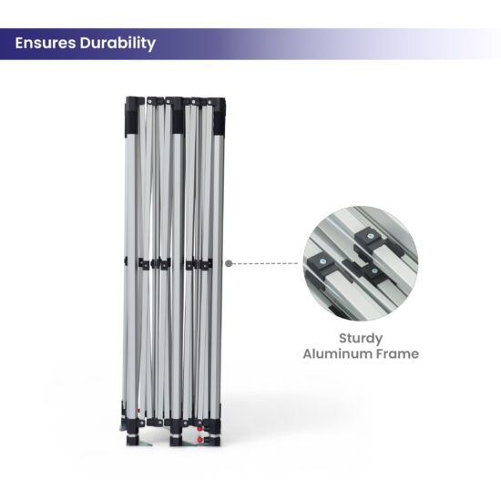 custom canopy tent 10x20 frame